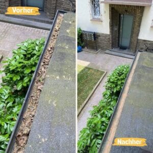 Dachrinnenreinigung